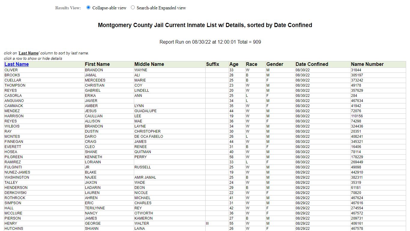 Jail Roster - Montgomery County, Texas